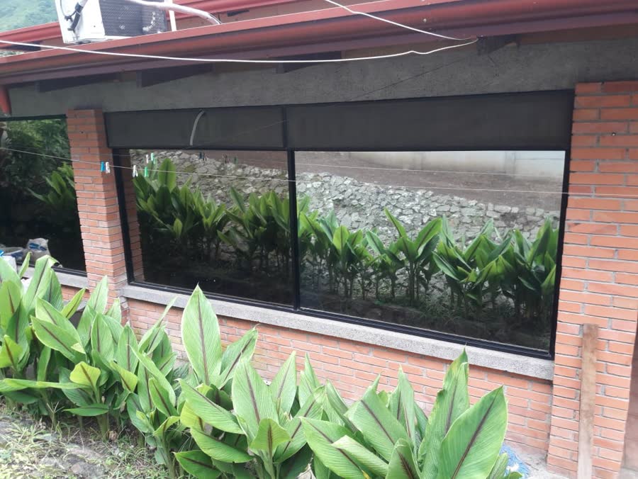 Ventana corrediza con vista al jardín